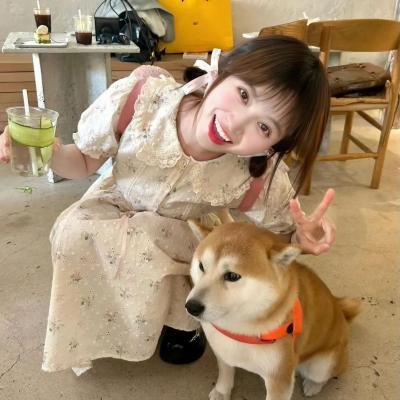 顾小姐的100次告白